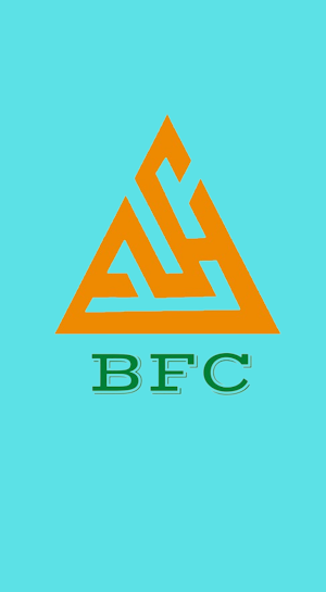 Buyer First Confidence BFC Screenshot 1