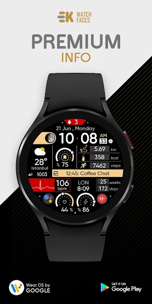Premium Info - Watch Face Screenshot 0