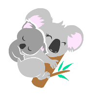 Babykoala