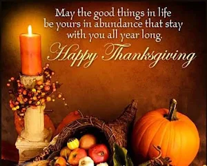 Happy Thanksgiving GIFs Screenshot 1