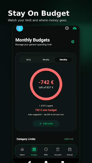 IntelliFlow: Budget Tracker Screenshot 1