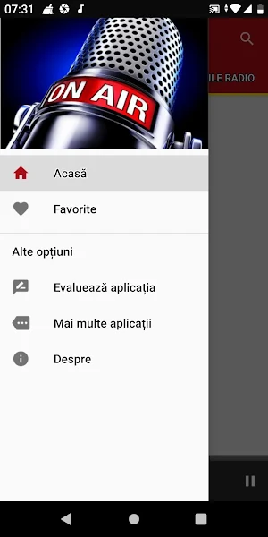 Radiouri Muzica Populară Screenshot 2