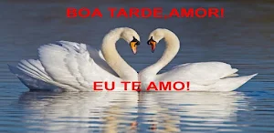 Bom Dia Boa Tarde & Noite Amor Screenshot 1
