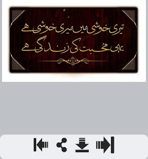 Zindagi Shayari Screenshot 0