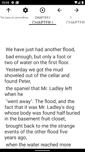 Book, The Case of Jennie Brice Screenshot 1