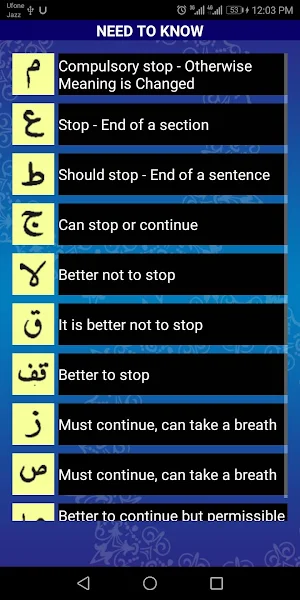 16 Line Quran Kareem -16 Lines per page Screenshot 3