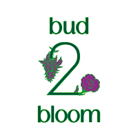 Bud 2 Bloom