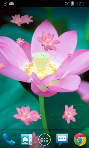 Lotus Live Wallpaper Screenshot 2