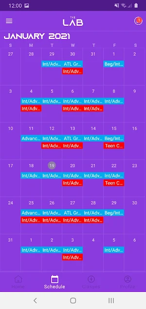 The Lab App Screenshot 1