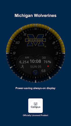 Michigan Premium Watchface Screenshot 1