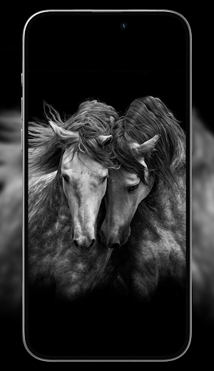 Horse wallpaper HD Screenshot 2