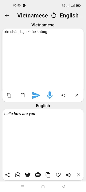 Vietnamese English Translator Screenshot 1