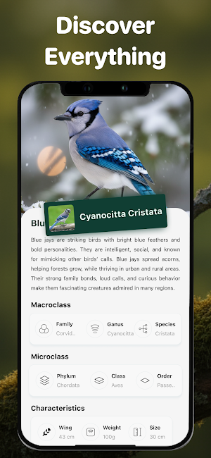 Bird Identifier: Bird Sound ID Screenshot 2