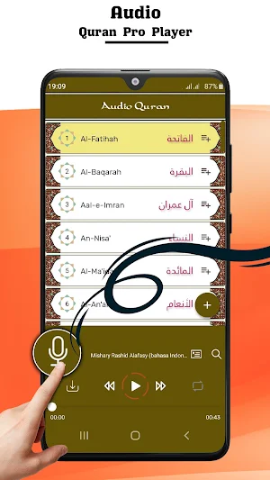 Pro Quran All Reciters Screenshot 0
