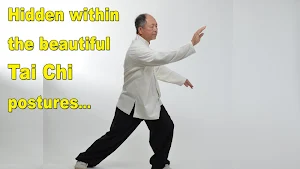 Tai Chi Martial Applications Screenshot 1