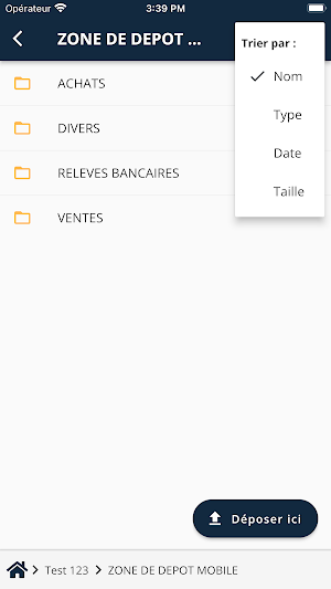 Elco Conseils Screenshot 2