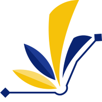 OBS Elibrary