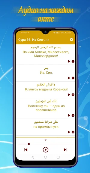 Сура Ясин и Мулк (mp3) + короткие суры Корана. Screenshot 3