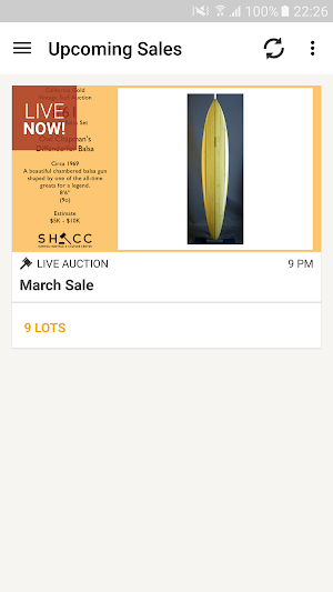California Gold Surf Auction Screenshot 0