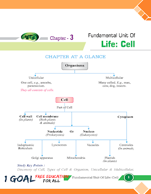 Bio Class 9 Screenshot 2