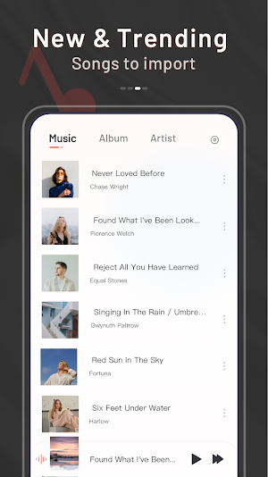 Total Music - Offline Player Screenshot 2