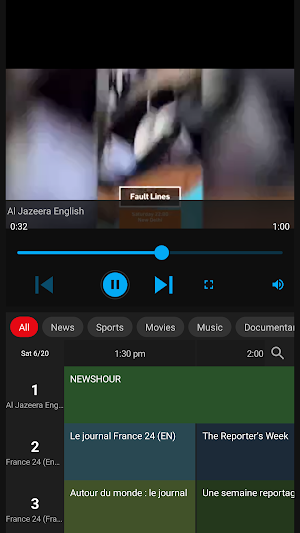 Zebcast Browser Video Cast Screenshot 2