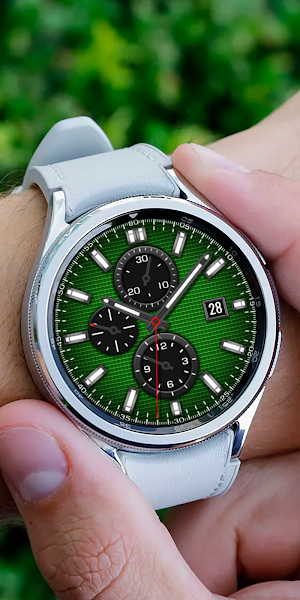 Analog PAnther Watch face Screenshot 2