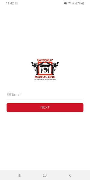 Synergy Karate Screenshot 0