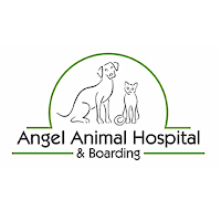 Angel Animal Vet