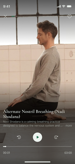 Rob Rea Breathwork Screenshot 3
