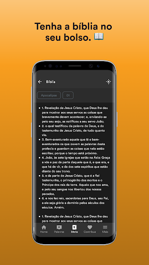 IBEG MARINGÁ Screenshot 2