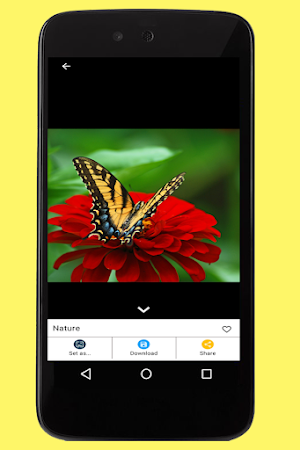 Nature Images Screenshot 2