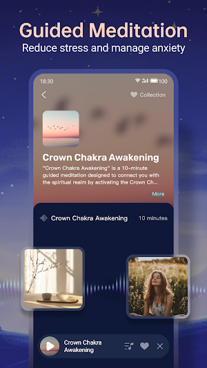 SleepTracker: Record & Improve Screenshot 3