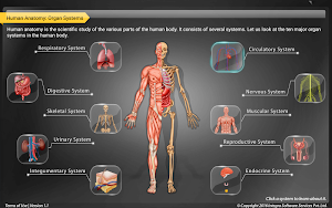 HumanAnatomy-Circulatory Screenshot 1