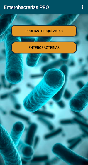Identificar Enterobacterias Screenshot 0
