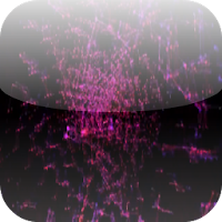 Colorful Starfield Video Wallp