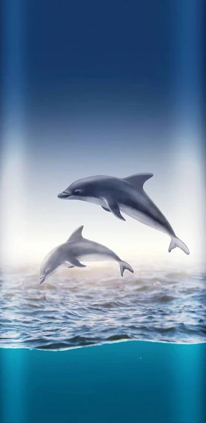 Dolphin Wallpapers Screenshot 0