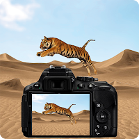 Desert Animal Photography
