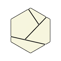 Polygon Geometric puzzle