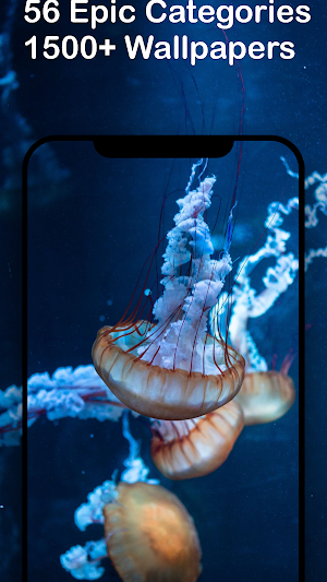 2021 Wallpapers Maker Cool Dai Screenshot 2