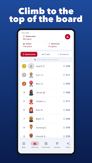 Kommunefangst Screenshot 2