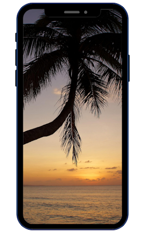Palm Tree Wallpapers Screenshot 0