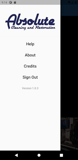 Absolute Cleaning Screenshot 2