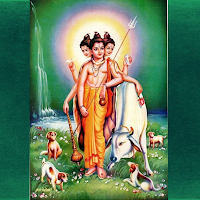 श्रीदत्तलीलामृताब्धिसार /ShriDattaLilamrutabdhisar