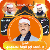 الشيخ احمد ابو الوفا الصعيدي