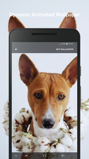 Puppy Live Wallpaper Pro Screenshot 1