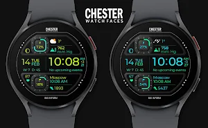 Chester Big inform watch face Screenshot 2