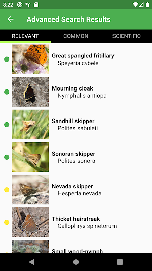 Yosemite Butterflies Screenshot 3