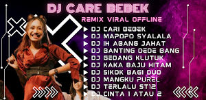 DJ Care Bebek Remix Offline Screenshot 1