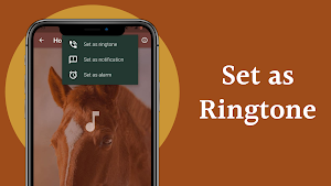 Horse Sounds Screenshot 3